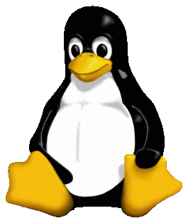 Linux Kernel
